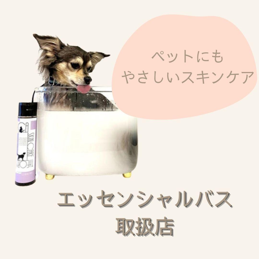 札幌　中央区　宮の森　トリミングサロン　ドッグサロンエムズワン　オプション　犬　エッセンシャルバス　保湿　スキンケア　Dog Salon M's-0ne